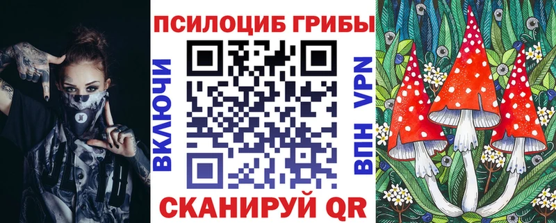 Галлюциногенные грибы MAGIC MUSHROOMS  Купить где  Шенкурск 